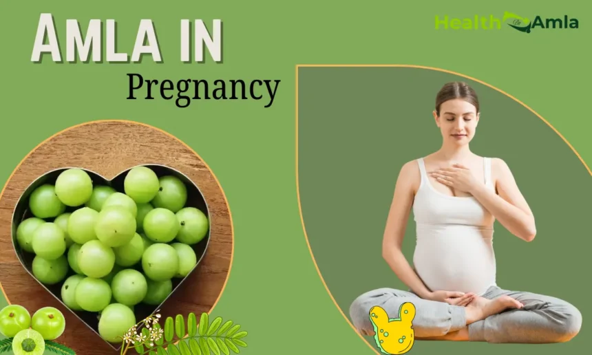 Amla in Pregnancy