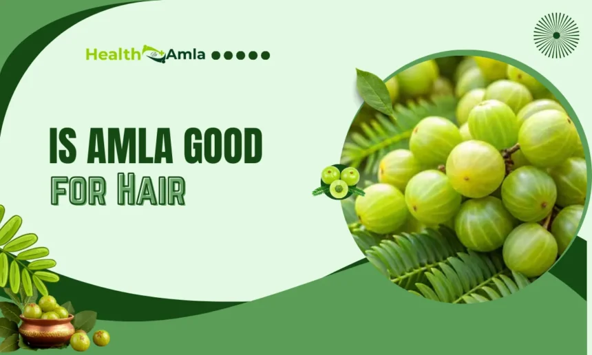 Is Amla Good for Hair
